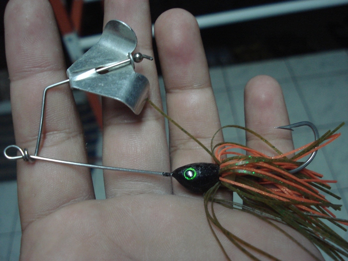 Buzz Bait กับ Mini Shad Rap 