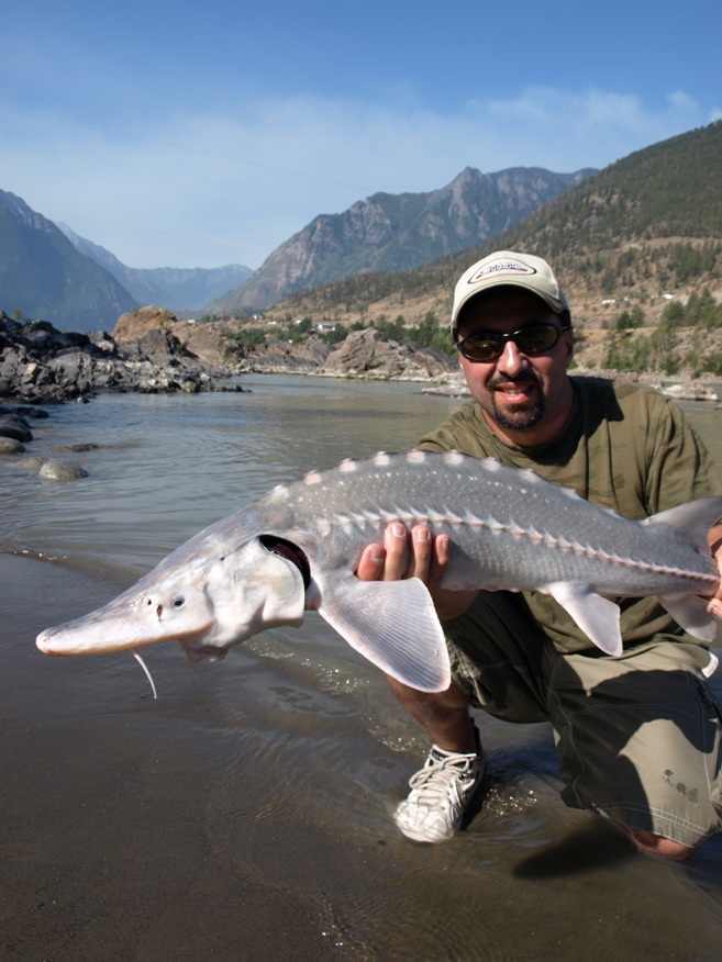 Sturgeon Fishing / Canada