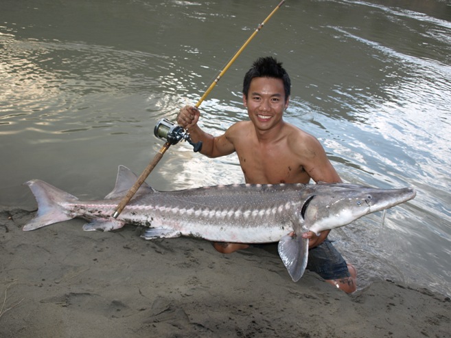 Sturgeon Fishing / Canada