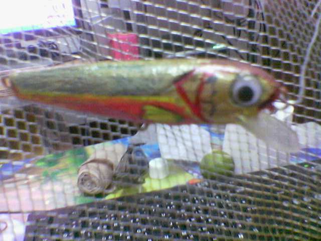 ทังวัน ได้มาเเค่ 2  (ปลา . มันจะกิน ไหม ยังไม่รู้)