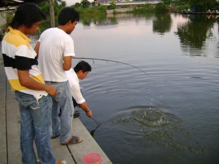 ทดลองไปตกสองบ่อลองทดสอบดูครับ