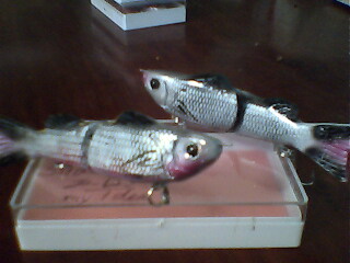 slide bait  ฉบับสมบรูณ์แบบที่สุด