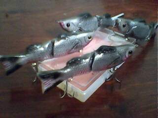 slide bait  ฉบับสมบรูณ์แบบที่สุด