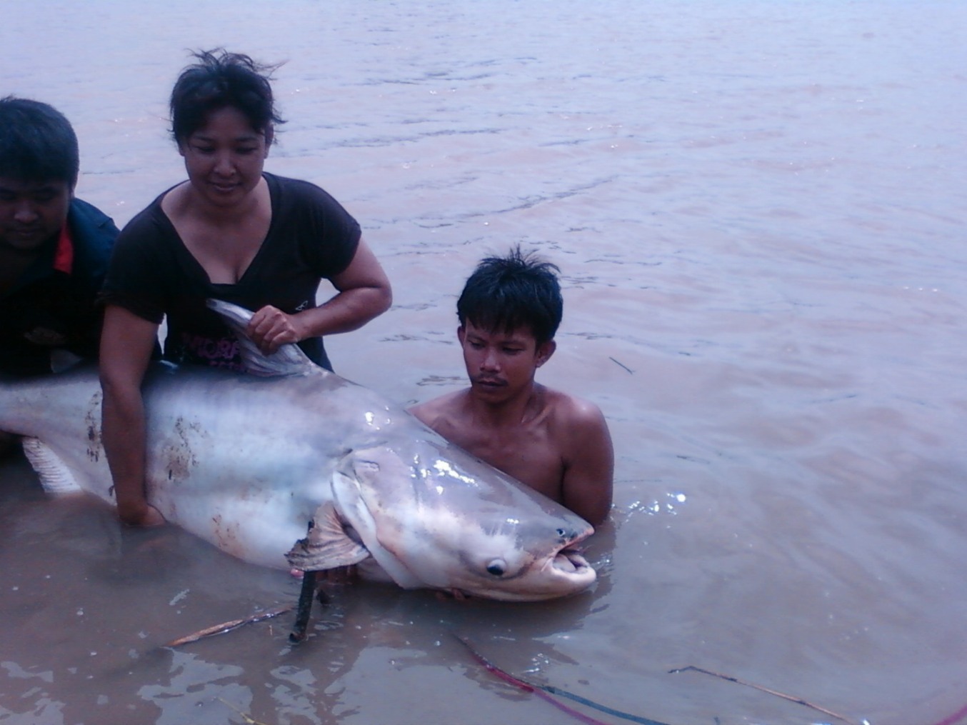 แพนกเล็ก แม่น้ำเจ้าพระยา (บางไทร)