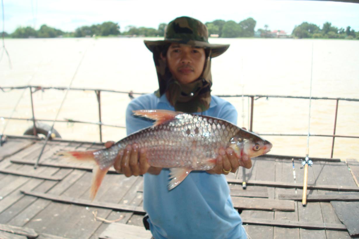 แพลุงแก่พ่อมดแห่งบางไทร