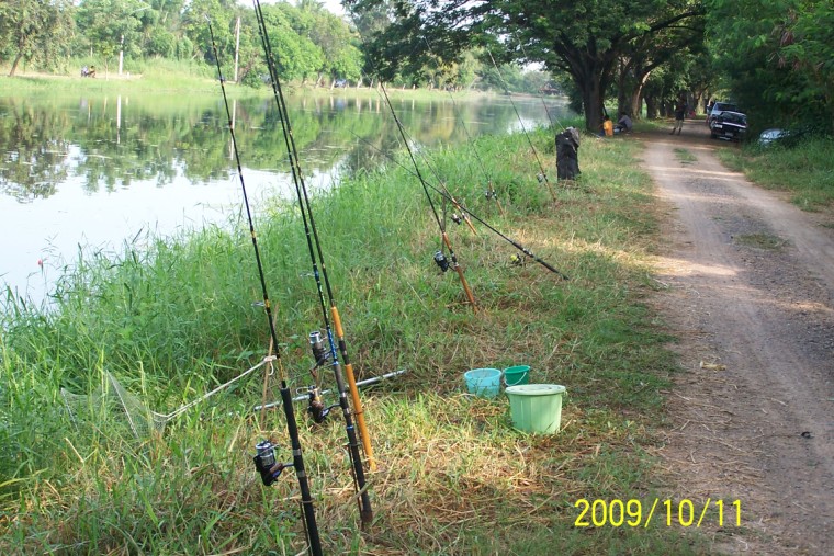 บึงบัว อยุธยา : Fishing Spot