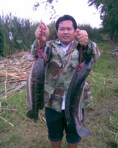 เมื่อหมออนามัยไป Fishing 2