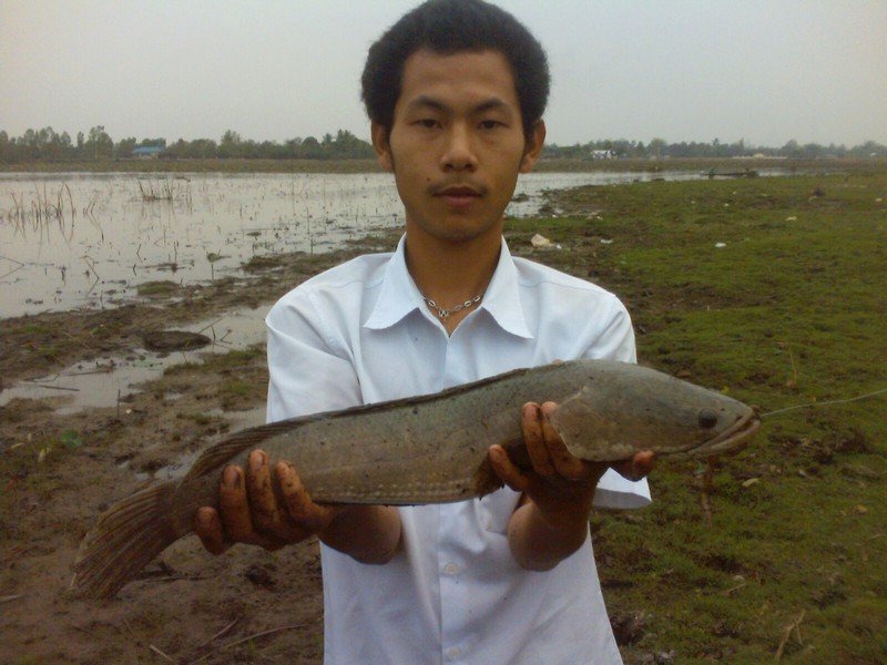 เปิดตัวน้องใหม่ Chadows Fishing Team จ.หนองคาย