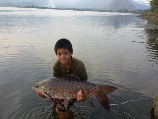 ยี่สกยังมีที่เขื่อนท่าทุ่งนา 9 ธ.ค. 52