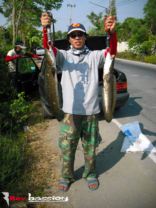 เทสหมายกะพง กุเรา 2553