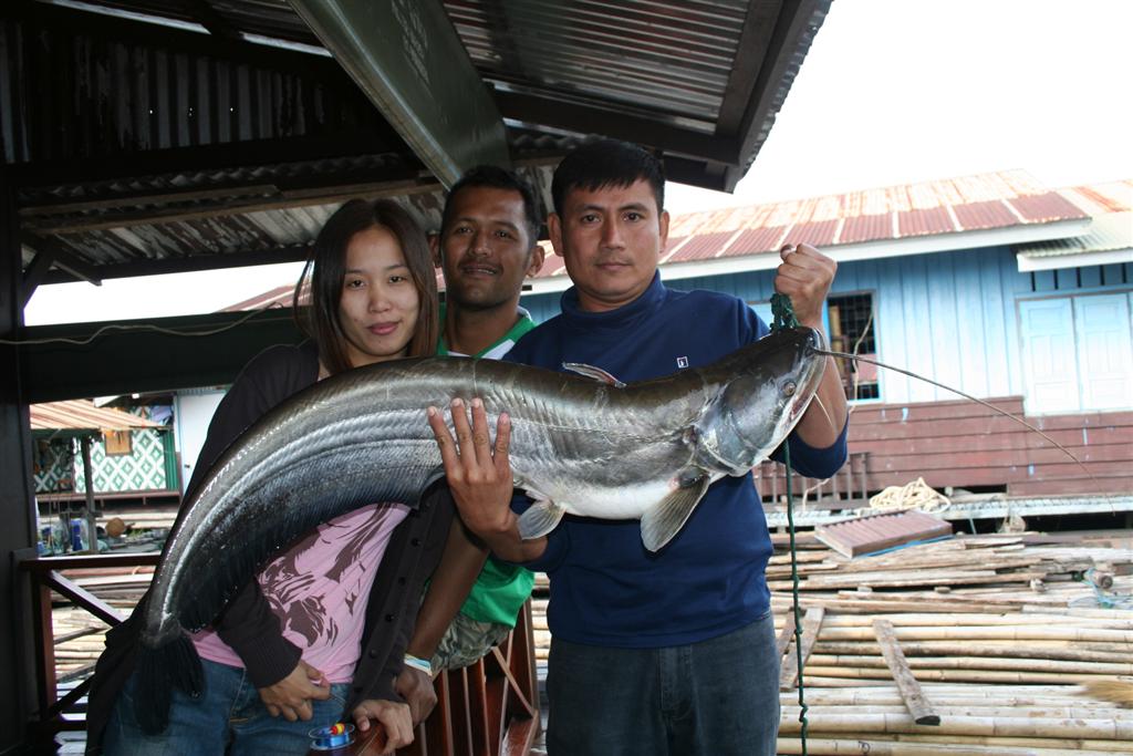ปลาเค้า วันนี้เป็นของเรา สังขะ กาญจนบุรี 