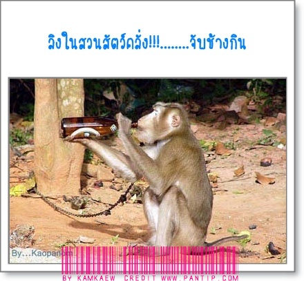 รวมกระทู้ คลายเคลียด ครับ