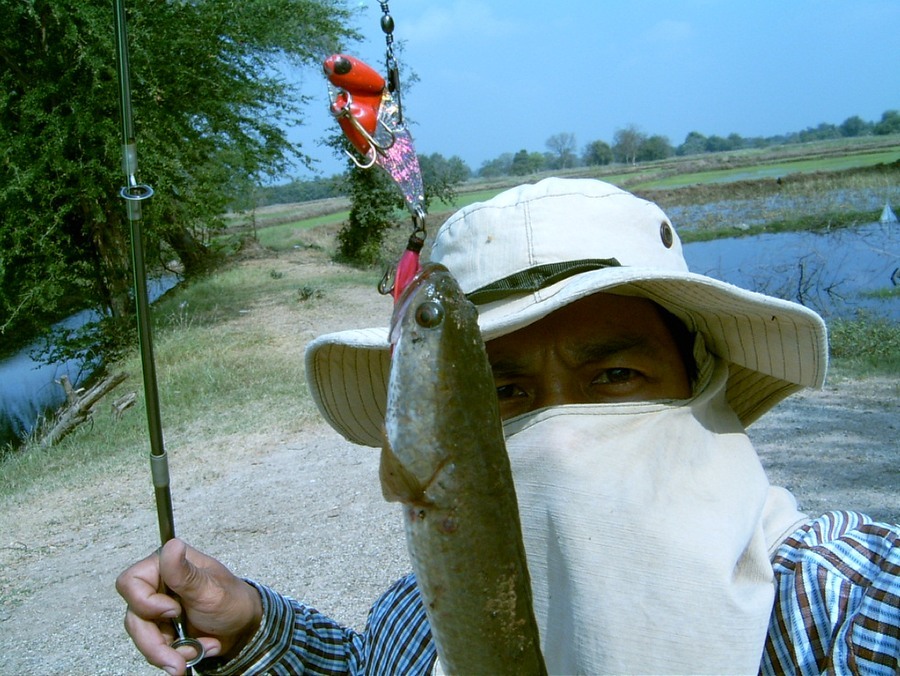 @ หัดทำกระดี่เหล็กยามว่าง @