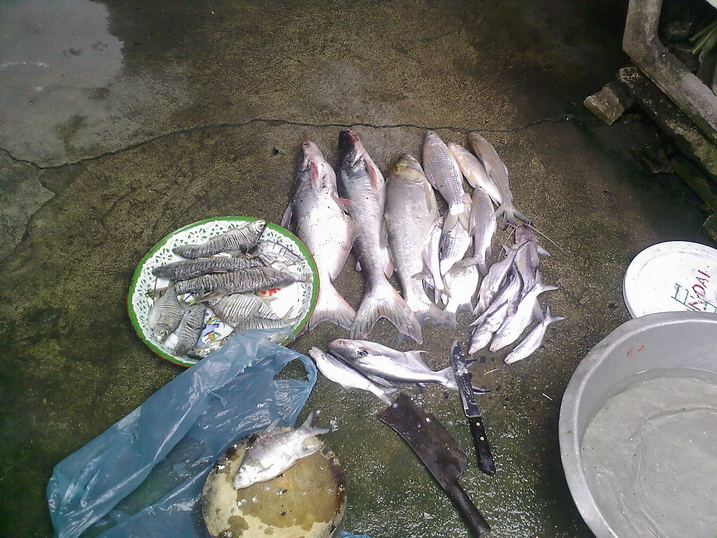 คลอง 13 กับ night fishing ครับน้าๆ