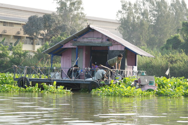 เรือนแพ fishing วันอาทิตย์นี้ล่ะคับ