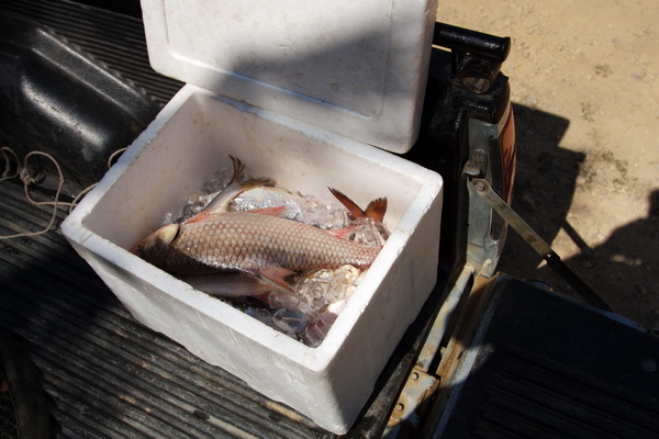 เรือนแพ fishing วันอาทิตย์นี้ล่ะคับ