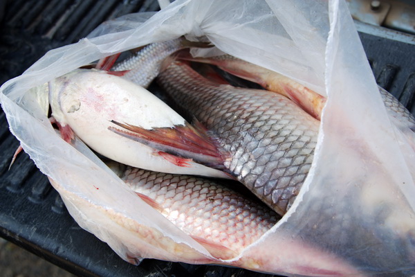 เรือนแพ fishing วันอาทิตย์นี้ล่ะคับ