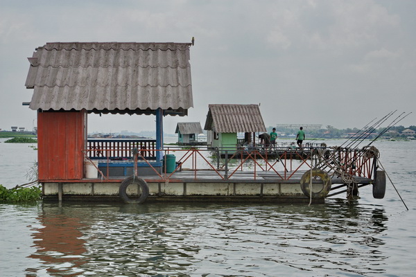 เรือนแพ fishing  @บางไทร