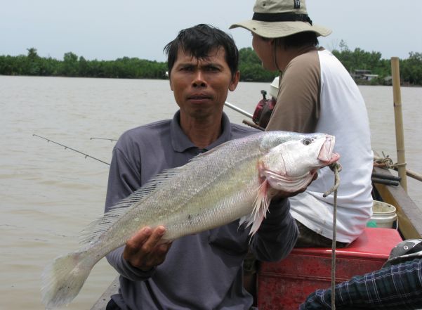 ปลาเริ่มเข้าแล้ววว ที่บางประกง