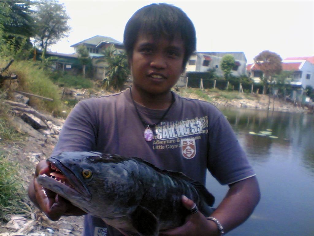 เปิดซิงชะโดตัวแรกกับเหยื่อทำเองคับ...สะใจ