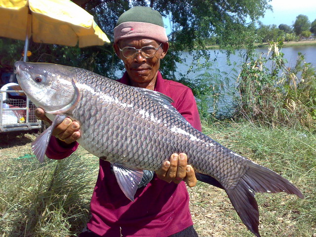 สูครเด็จของ ลุงบุญ เมืองนครชัยศรี 