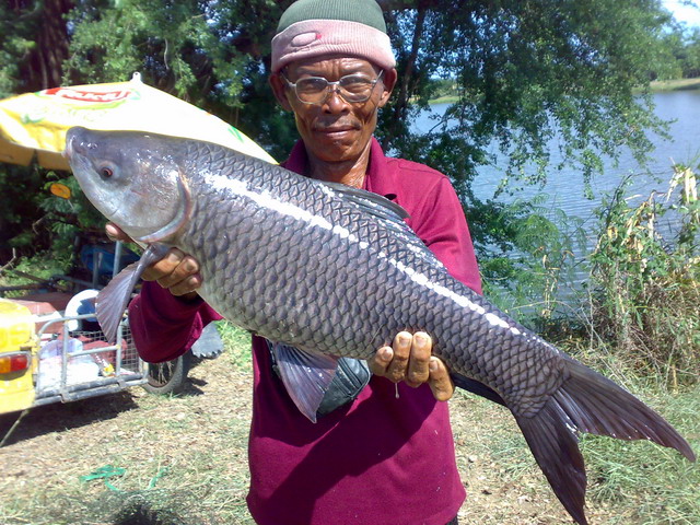 สูครเด็จของ ลุงบุญ เมืองนครชัยศรี 