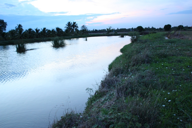 ทริพย้ายปลาชะโดมีกระพงใหญ่แถม