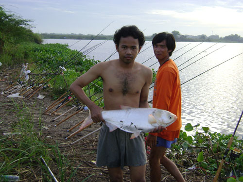 ทดลองส่งครับ จีนบางบาล