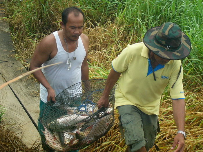 เรือนแพฟิชชิ่ง 26-6-2010