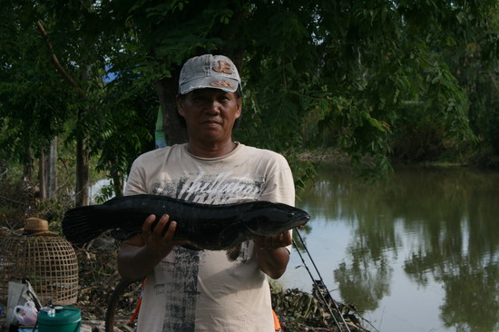 ชะโดคลองขุนศรี