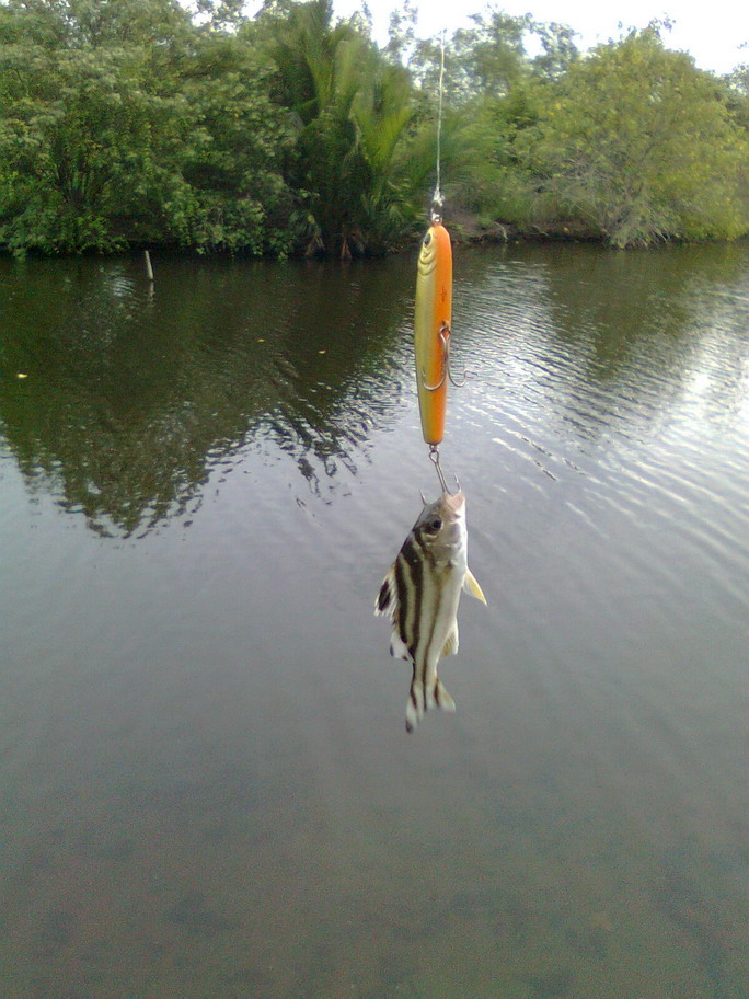 วันนี้ผมได้ปลาตัวเดียว