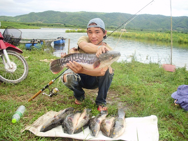 เปิดฤดูกาลล่าชะโดที่เชียงรายครับ ภาค 2 สัญญาว่าจะเ