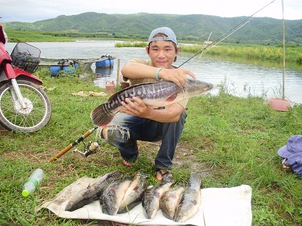 เปิดฤดูกาลล่าชะโดที่เชียงรายครับ ภาค 2 สัญญาว่าจะเ