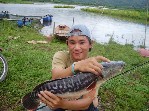 เปิดฤดูกาลล่าชะโดที่เชียงรายครับ ภาค 2 สัญญาว่าจะเ