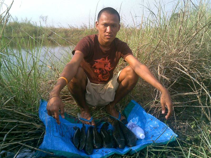 ขออณุญาติ ส่งภาพผลงานเก่าๆ ให้ทุกท่านรับชมครับ