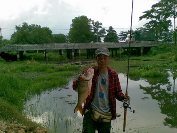 กระสูบโทน นครศรีธรรมราช