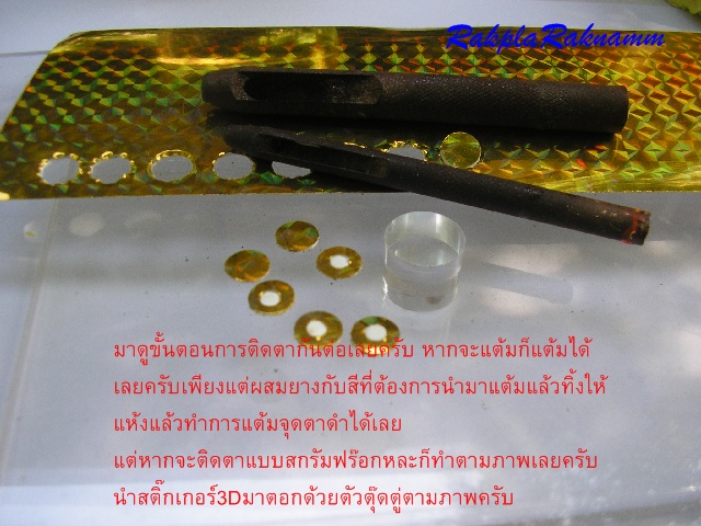 กบยางตามคำขอ(ตอน1)