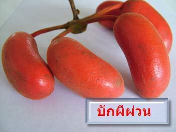 ผลไม้ที่คุณ...ต้องลอง !!!! (นอกเรื่อง)