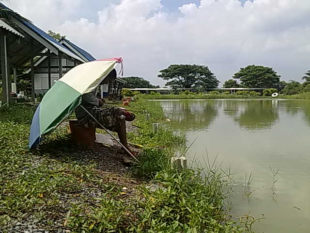 ตกปลาบ่อปลาไทยฟิชชิ่ง(สระบุรี)