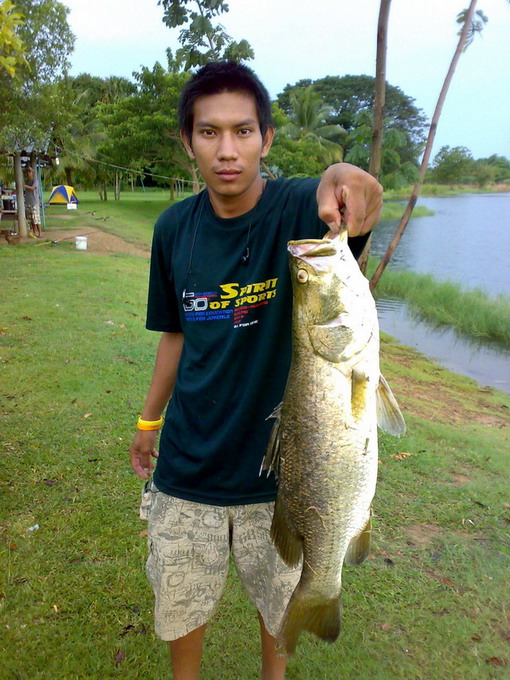 นัก ล่า เจอ นัก ล่า ...