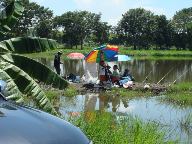 ทริพ เกาะกา ปลาเกล็ด ครับ