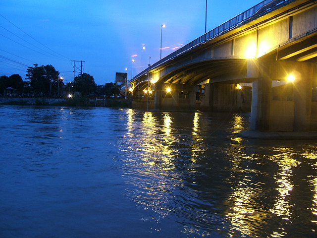 สพานปรีดีย์ อยุธยา ยังมีปลา 2