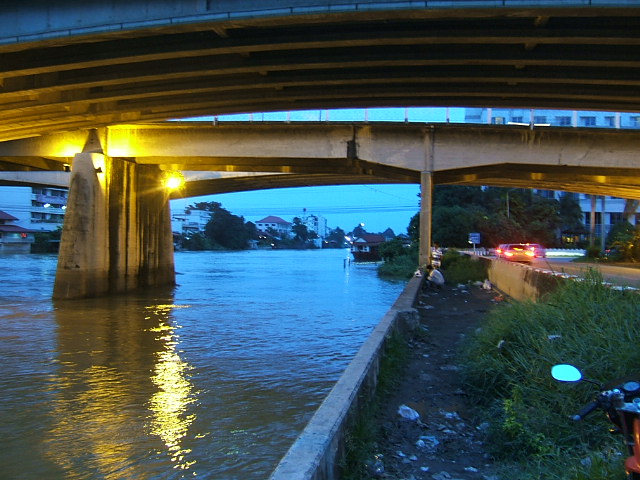 สพานปรีดีย์ อยุธยา ยังมีปลา 2