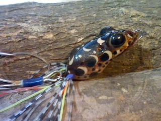 sorry  tryagain    call    we    blue-planet lure