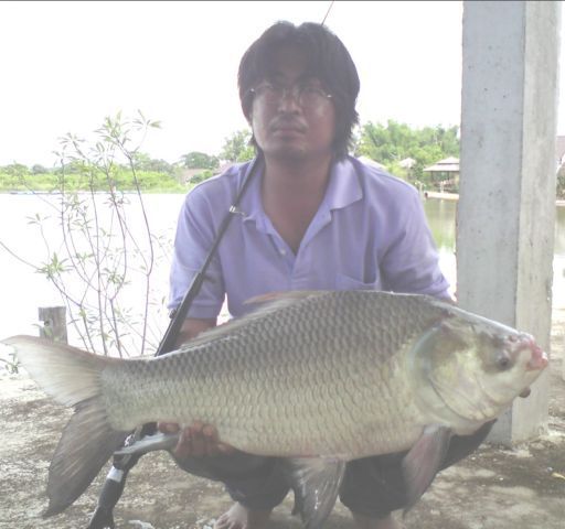 คัน  INSTANT  FISHERMAN