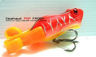 กบ Seahawk Pop Frogy