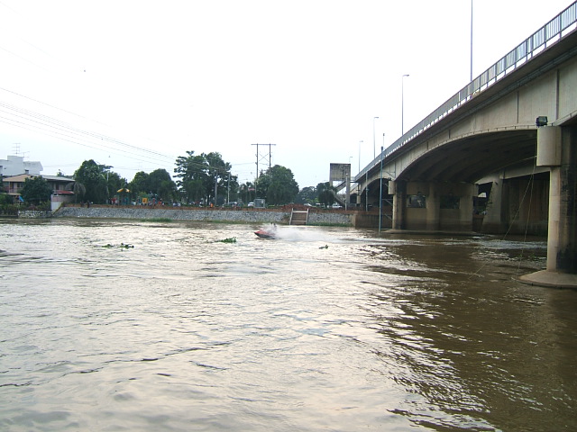 สพานปรีดีย์ อยุธยา ยังมีปลา 3