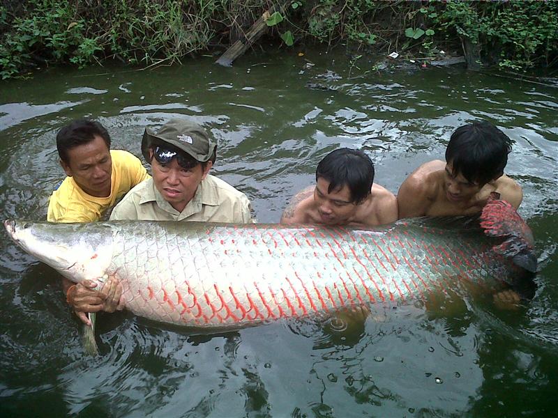 บึงสำราญ ณ วันฟ้ารั่ว