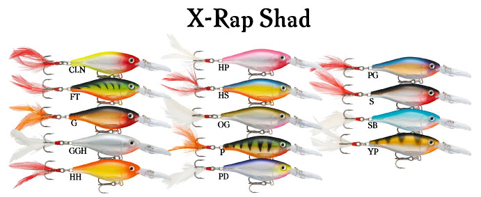 Rapala X-Rap Shad 8