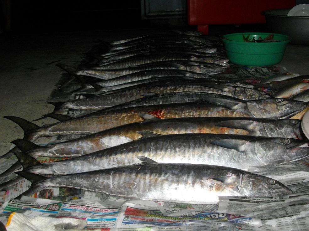 อัพเดทยังไม่ครบครับ  ลงทะเลตราดกับไต๋แก้วครับ